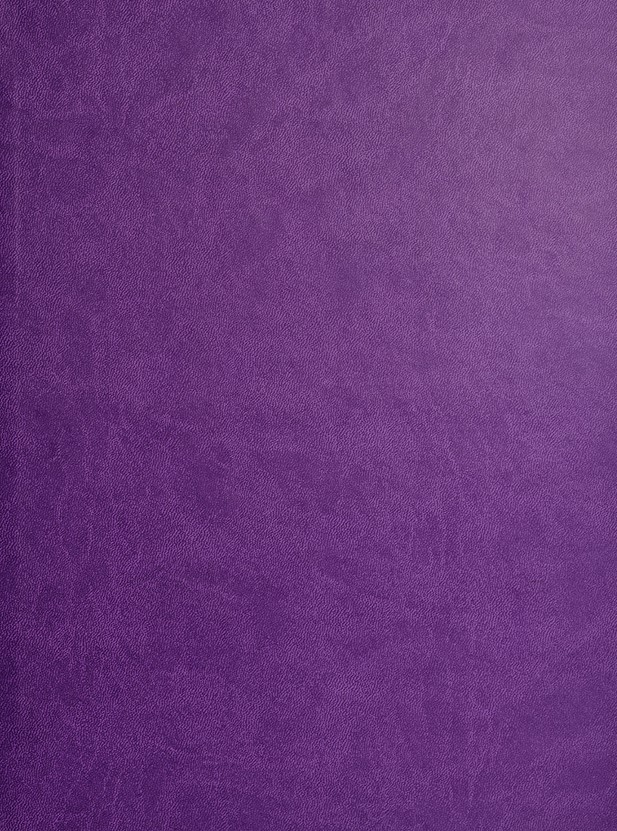 Corallo Viola